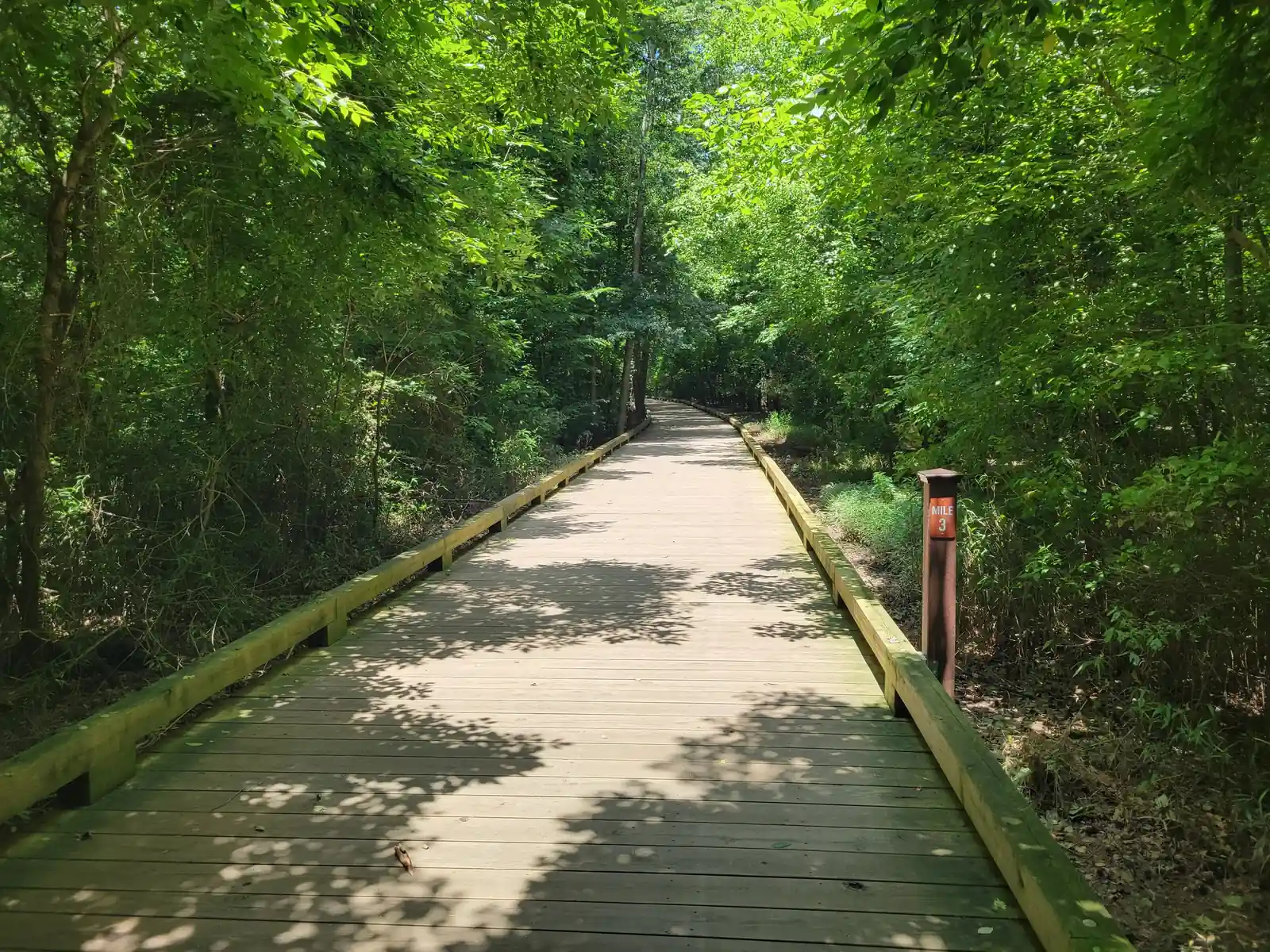 Sun-dappled wooden boardwalk running straight into a tunnel of dense green summer trees, with low timber kerb rails on both sides and a brown post carrying an orange 'MILE 3' plate at right. No people, no other signs.