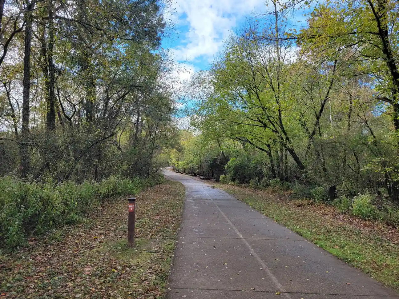 Wet concrete greenway path with a centre line curving off between autumn trees, fallen leaves on the verges, a brown 'MILE 7' post at left, bright blue sky with white clouds breaking through the canopy at top. No people.