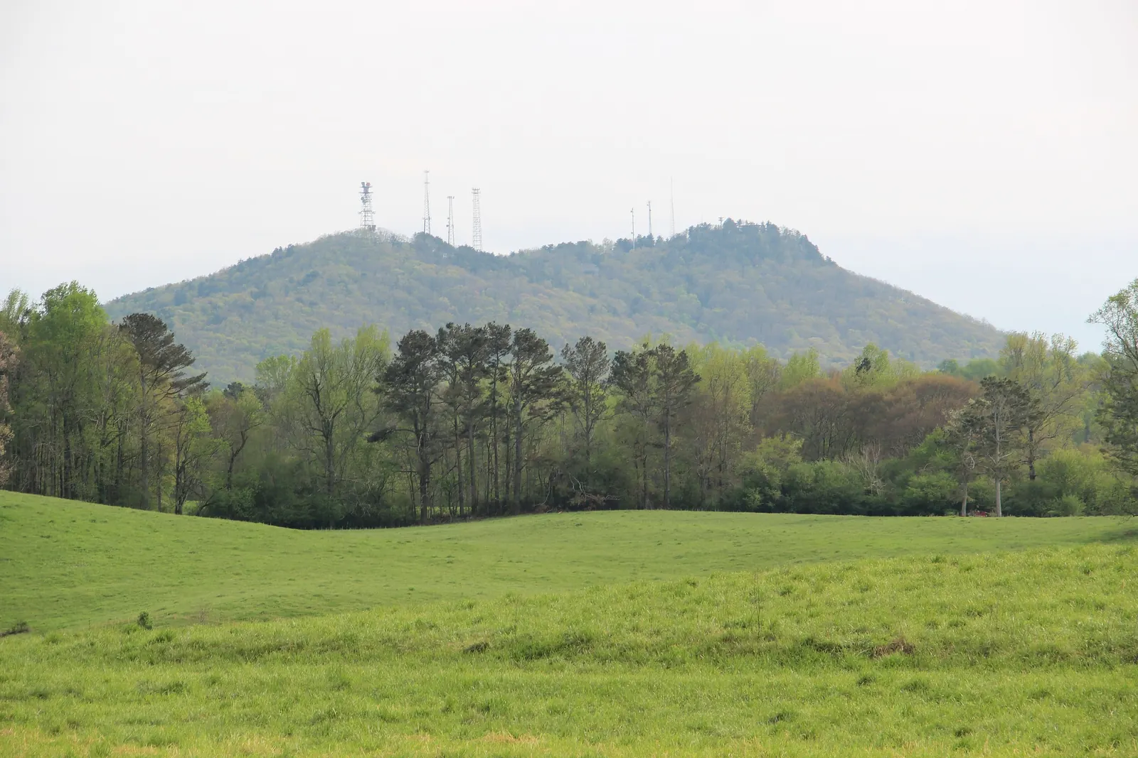 Spring view across a rolling bright-green hay pasture to a line of pines and fresh-leaved hardwoods, with the twin-humped wooded profile of Sawnee Mountain behind; communication towers stand on the summit ridge. Hazy white sky. No people, no buildings, no signs.