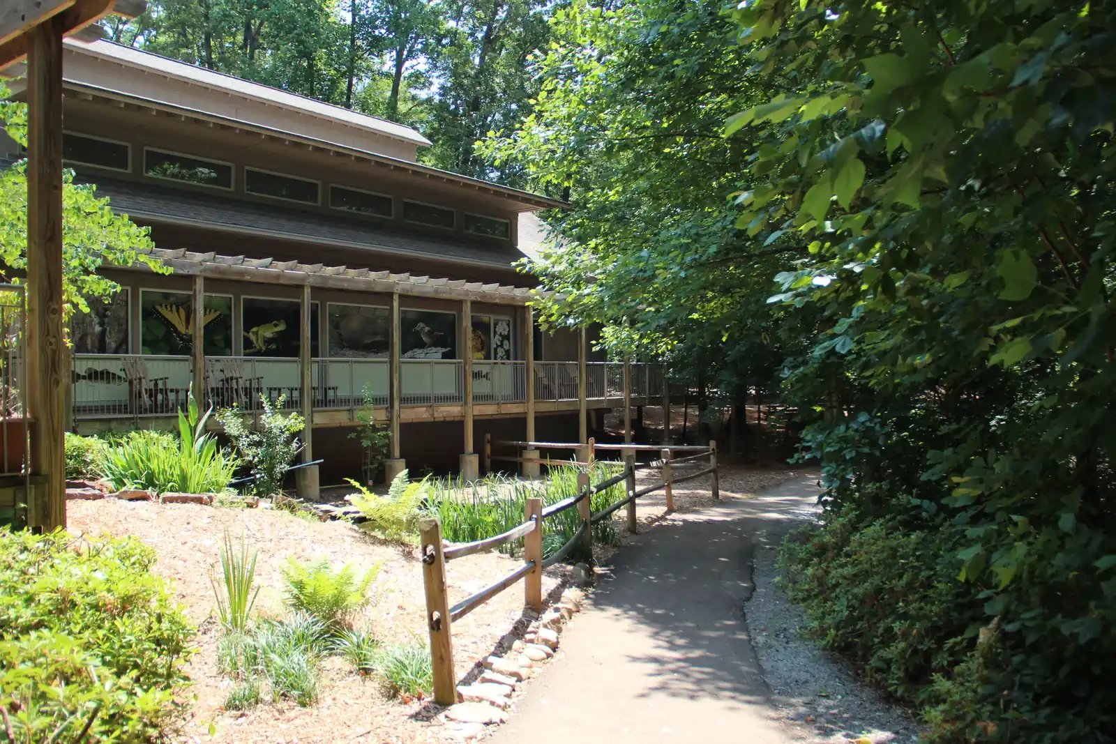 Sunny summer view of the Sawnee Mountain visitor center: a timber pergola post at far left, a brown clapboard building with clerestory windows and a covered porch whose windows show large nature graphics (swallowtail butterfly, tree frog, bird, flowers), rocking chairs on the porch, split-rail fence and native plantings, and an asphalt path curving away under dense green trees at right.
